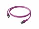 EasyLan CPP1OVAVAV0050