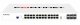 Fortinet FS-124G