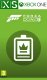 Microsoft Forza Horizon 5 VIP Membership