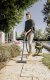 Karcher WD 5 S V-25/5/22 #9