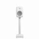 Genelec 6040BRW #1