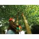 Black & Decker PS7525-QS #4
