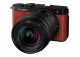 Panasonic Lumix S9 + 20-60mm F3.5-5.6 Lens