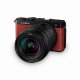 Panasonic Lumix S9 + 20-60mm F3.5-5.6 Lens #5