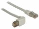 DeLOCK 2m Cat.5e SFTP