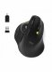 Port Designs 900719 #2