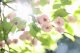Canon RF 85mm F1.4L VCM #22