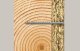 Tork 557508 #3