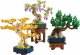 Lego Botanicals Mini Bonsai Trees #2