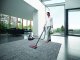 Dyson Big ball Parquet 2 #13