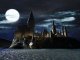 Warner Bros LEGO Harry Potter Collection #8