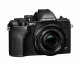 Olympus OM-D E-M10 Mark IV + ED 14-42mm + ED 40-150mm #2