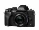 Olympus OM-D E-M10 Mark IV + ED 14-42mm + ED 40-150mm #3