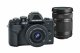 Olympus OM-D E-M10 Mark IV + ED 14-42mm + ED 40-150mm #7