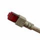 EFB Elektronik 0.25m Cat6 #4