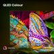 Hisense 50U7Q #8
