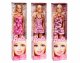 Mattel Barbie Doll Assortment #6