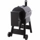 Traeger Pro Series 22 #2