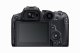 Canon EOS R7 + EF-EOS R #7