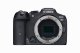 Canon EOS R7 + EF-EOS R #2
