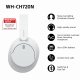 Sony WH-CH720 #2