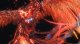 Square Enix Final Fantasy XVI #5
