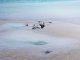 DJI Mini 3 Pro (RC-N1) #28