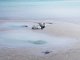 DJI Mini 3 Pro (RC-N1) #29