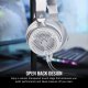 Corsair VIRTUOSO PRO #14