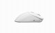 Glorious PC Gaming Race Model D 2 PRO Wireless #3