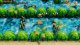 Nintendo The Legend of Zelda: Link's Awakening, Switch #7