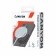 Canyon WS-100 #4