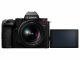 Panasonic Lumix S5II + Lumix S 20-60MM F3.5-5.6 #3