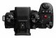 Panasonic Lumix S5II + Lumix S 20-60MM F3.5-5.6 #11