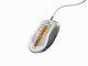 Glorious PC Gaming Race Glorious Model D 2 Wired - Matte White #9