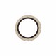 PanzerGlass Hoops Camera Lens Protector Glitter Gold iPhone Air #4