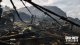 Activision Blizzard Call of Duty: Vanguard #8
