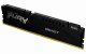 Kingston Technology FURY Beast