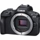 Canon EOS R100 + RF-S 18-45mm F4.5-6.3 IS STM Lens + RF 75-300mm F4-5.6 Lens #3