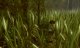 Konami Metal Gear Solid - Snake Eater #8