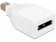 DeLOCK DisplayPort Mini M/FM