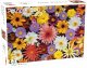 Tactic Lover's Special: Garden Flowers - 500 pcs