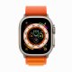 Apple Watch Ultra #2
