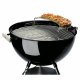 Weber 8417