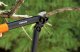 Fiskars 112170 #2