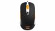Steelseries Sensei: Fnatic #1