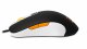 Steelseries Sensei: Fnatic #3