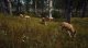 THQ Nordic Way of the Hunter - Wild Expeditions