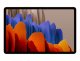 Samsung Galaxy Tab S7 #1