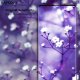KAPSOLO Tempered GLASS iPhone 12 mini Sreen Protection #3